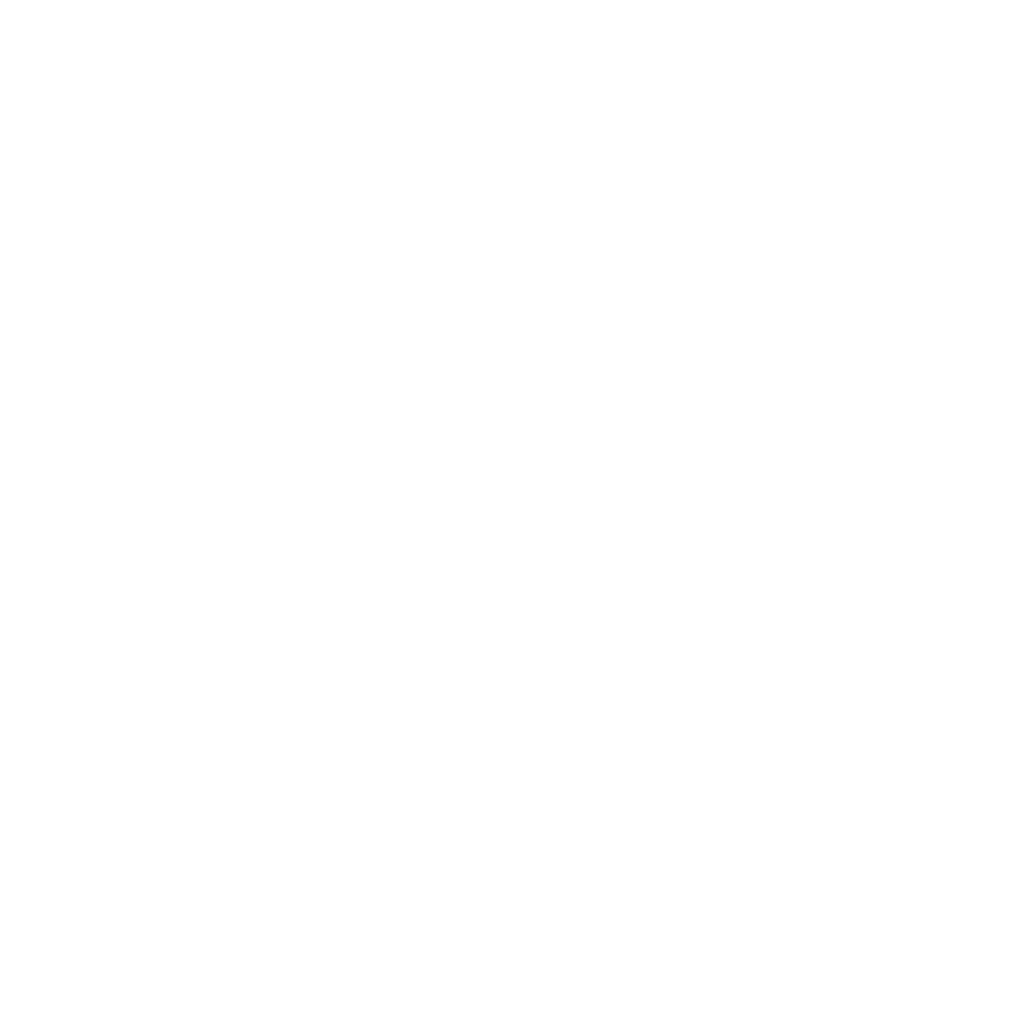 B Luxury Compressed Towels